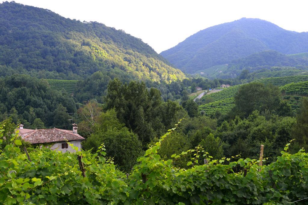 B&B Casa Di Campagna Miane Bilik gambar