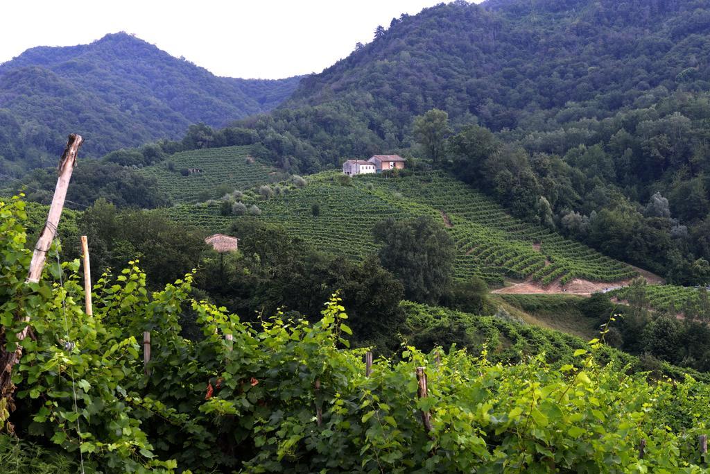 B&B Casa Di Campagna Miane Luaran gambar